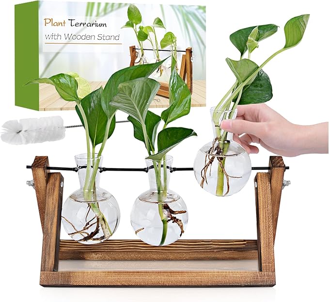 Plant Propagation Station, Plant Terrarium with