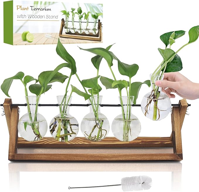 Plant Propagation Station, Propagation Vases for